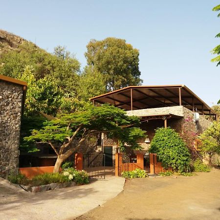 Peaceful House Set On A Vineyard & Work Friendly Villa Valsequillo de Gran Canaria Exterior foto