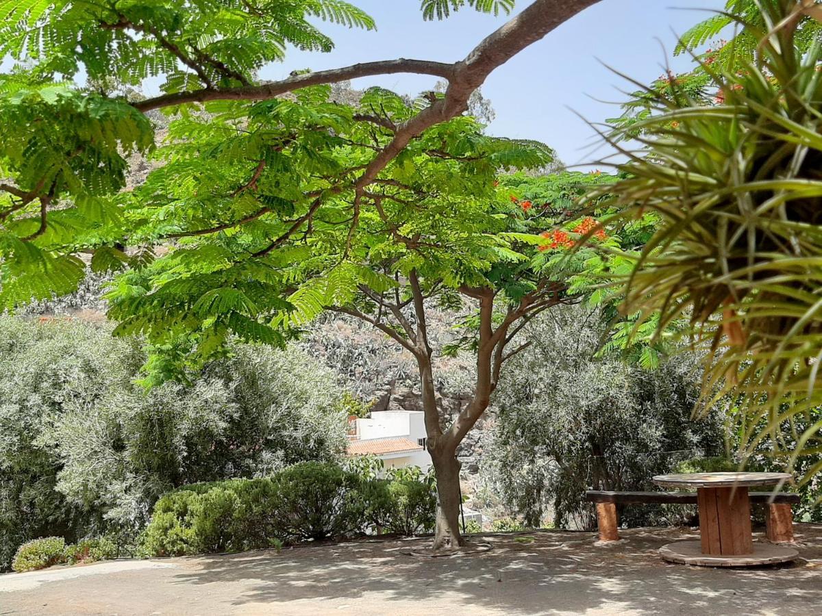 Peaceful House Set On A Vineyard & Work Friendly Villa Valsequillo de Gran Canaria Exterior foto