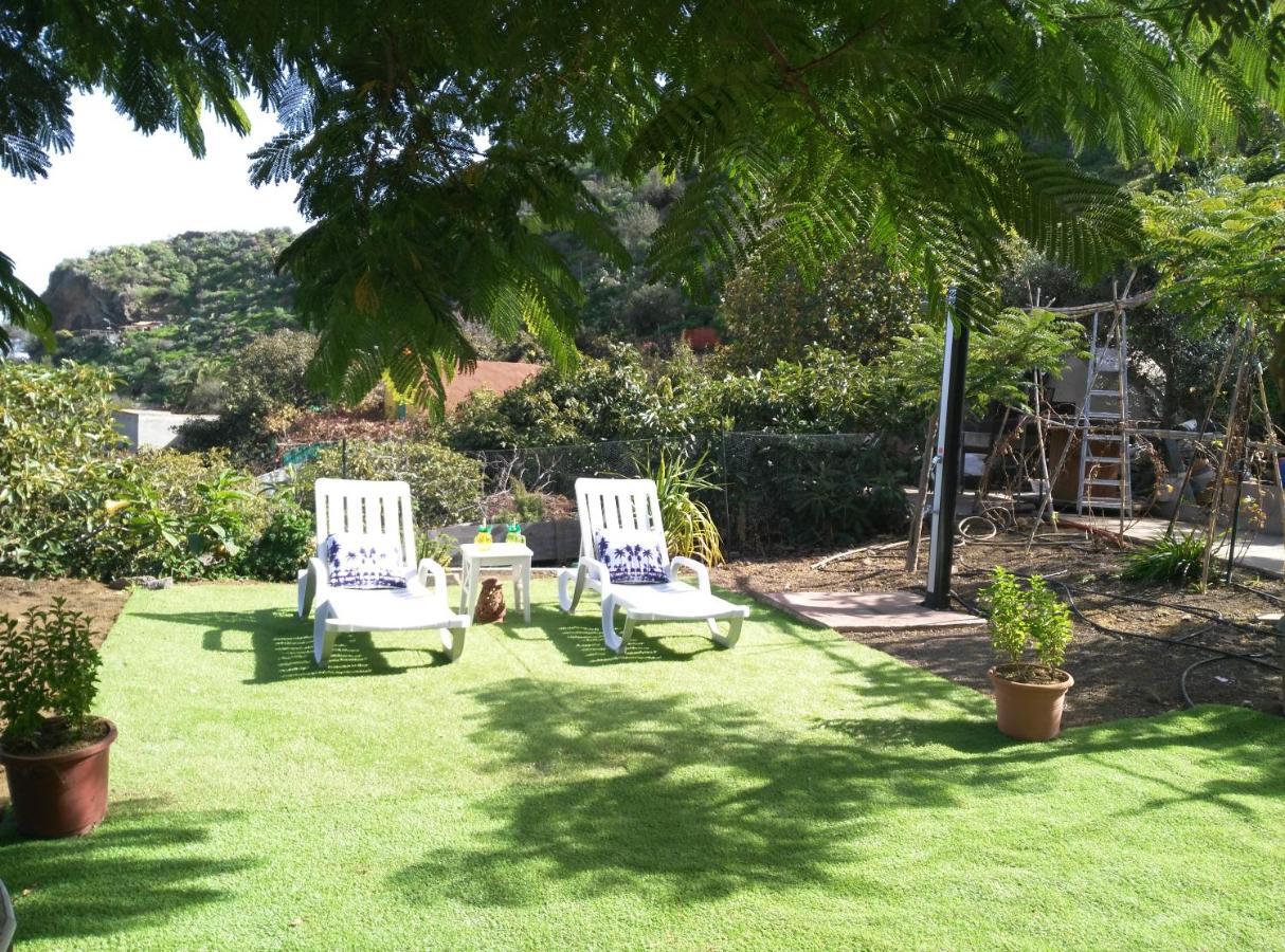 Peaceful House Set On A Vineyard & Work Friendly Villa Valsequillo de Gran Canaria Exterior foto